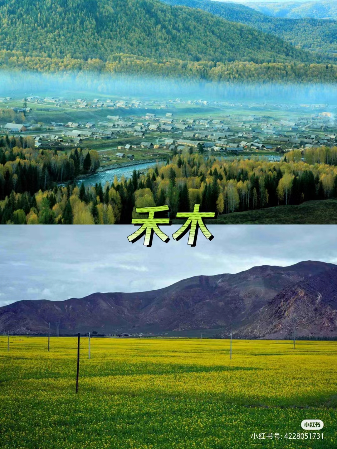 ͼƬ����