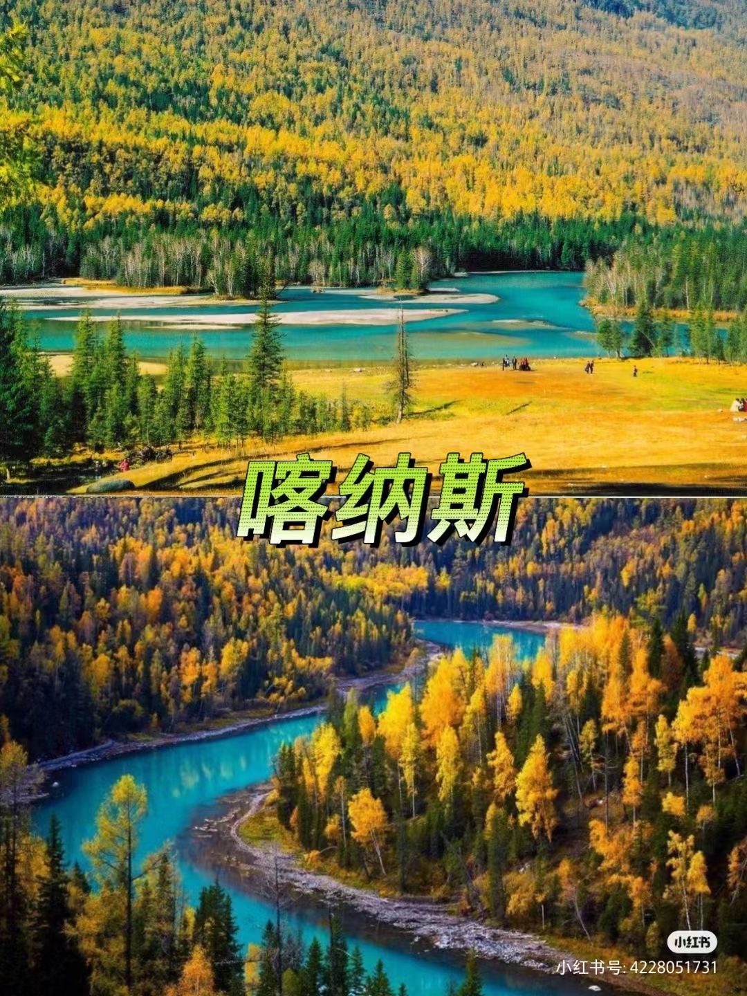 ͼƬ����